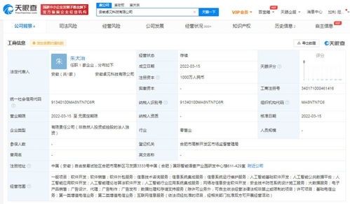 信息系統集成服務的全面解析